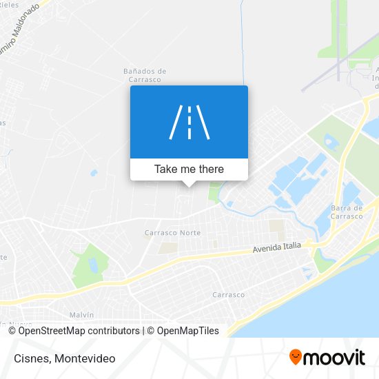 Cisnes map