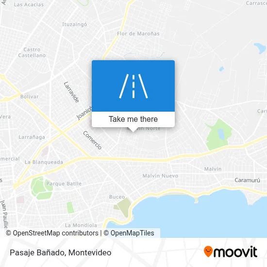 Pasaje Bañado map