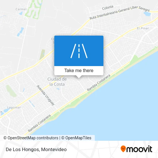 De Los Hongos map