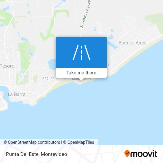 Punta Del Este map