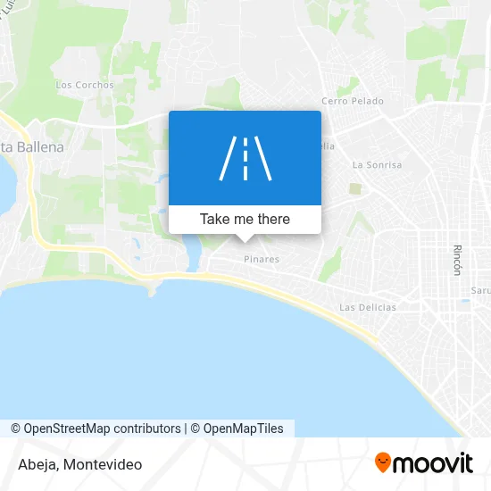 Abeja map