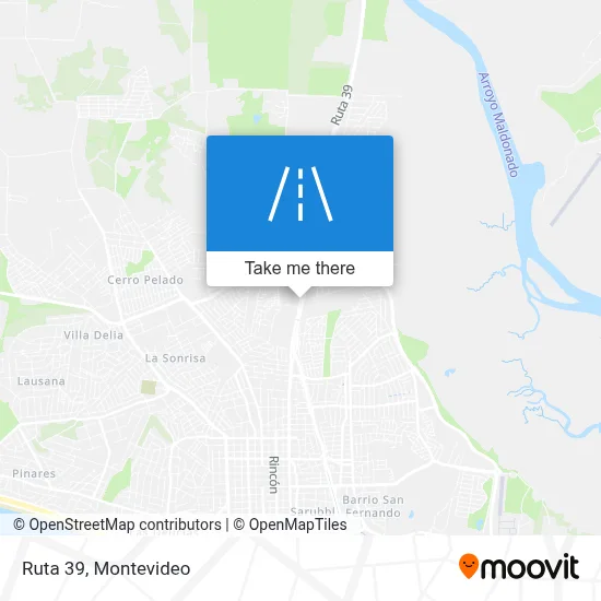 Ruta 39 map