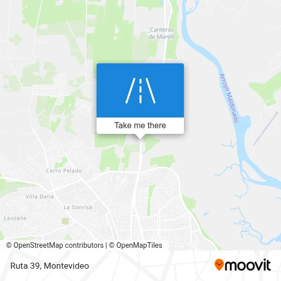 Ruta 39 map