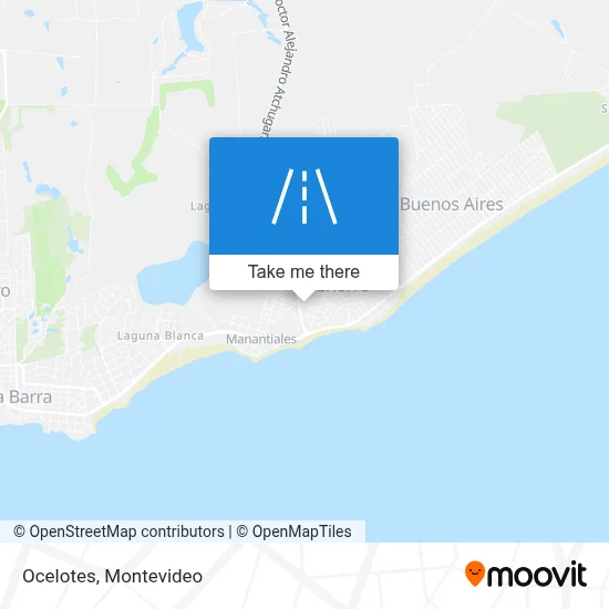Ocelotes map