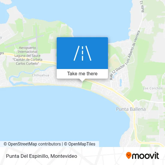 Punta Del Espinillo map