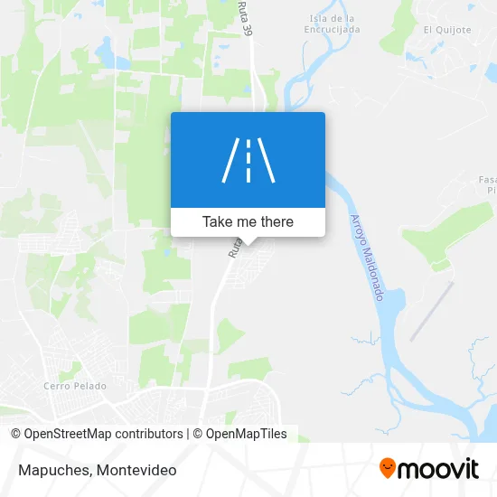 Mapuches map