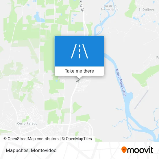 Mapuches map