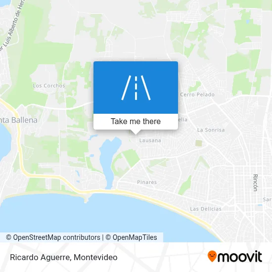 Ricardo Aguerre map