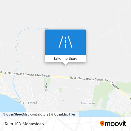 Ruta 103 map