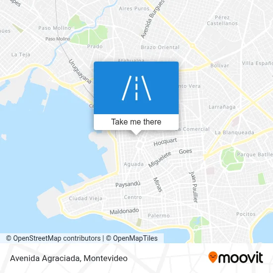 Avenida Agraciada map