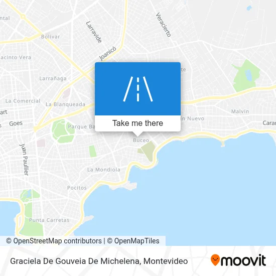 Graciela De Gouveia De Michelena map