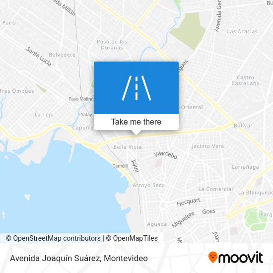 Avenida Joaquín Suárez map
