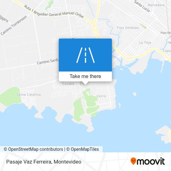 Pasaje Vaz Ferreira map