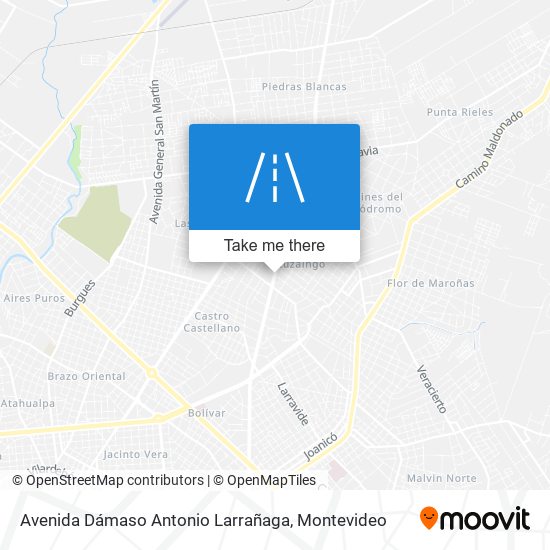 Avenida Dámaso Antonio Larrañaga map