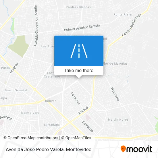 Avenida José Pedro Varela map