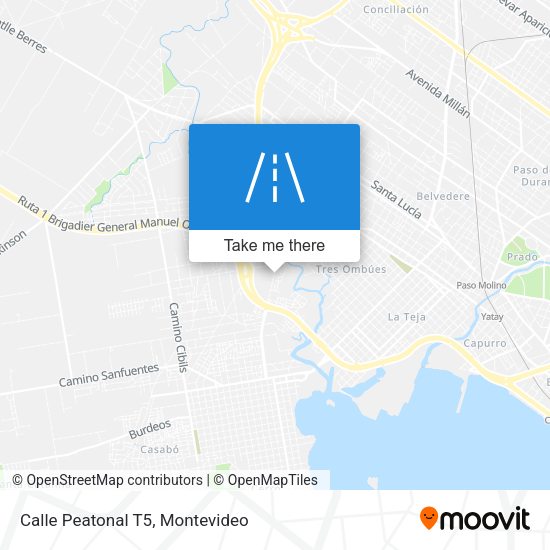 Mapa de Calle Peatonal T5
