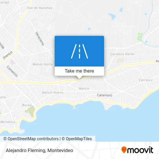 Alejandro Fleming map