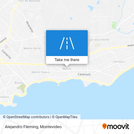 Alejandro Fleming map