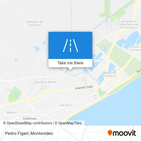 Pedro Figari map