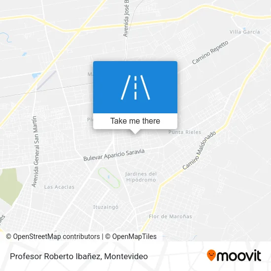 Profesor Roberto Ibañez map