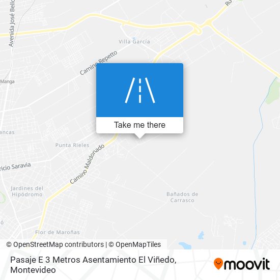 Mapa de Pasaje E 3 Metros Asentamiento El Viñedo