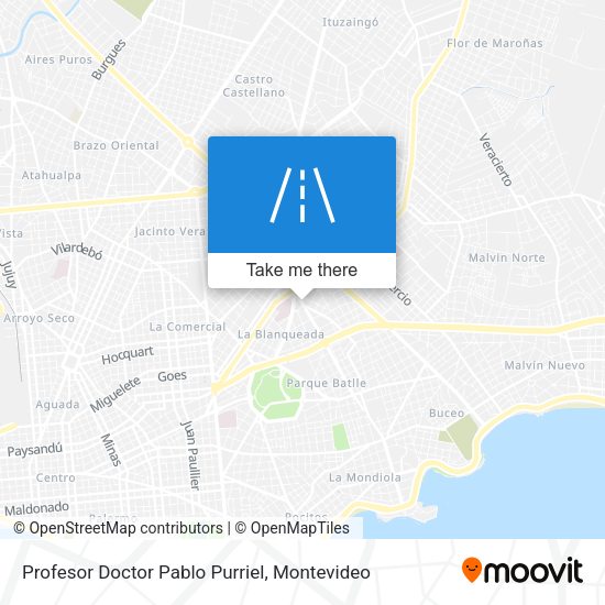 Profesor Doctor Pablo Purriel map