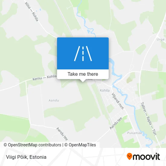 Карта Viigi Põik