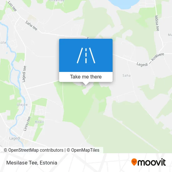 Карта Mesilase Tee