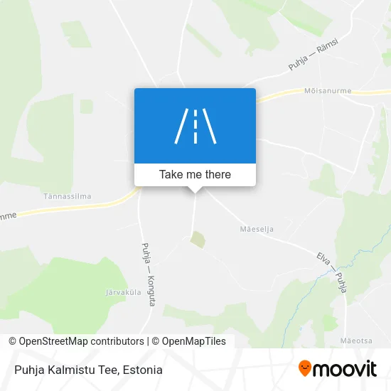 Puhja Kalmistu Tee map
