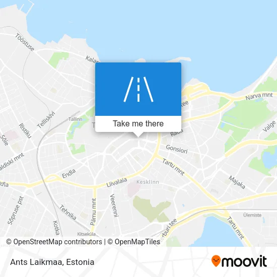 Ants Laikmaa map