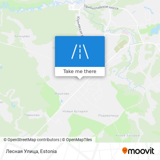 Лесная Улица map