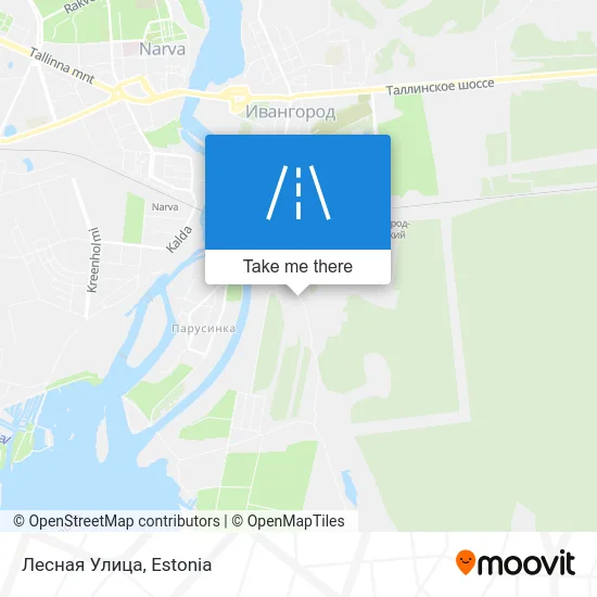 Карта Лесная Улица