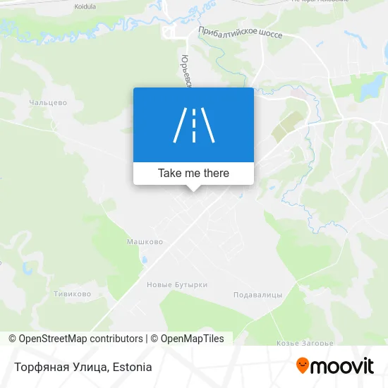 Карта Торфяная Улица