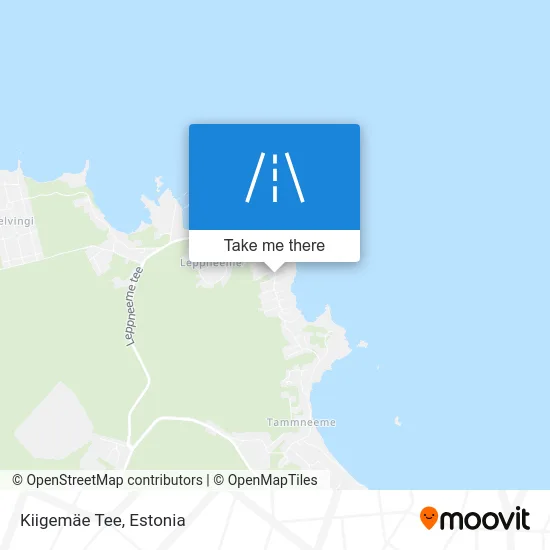 Карта Kiigemäe Tee