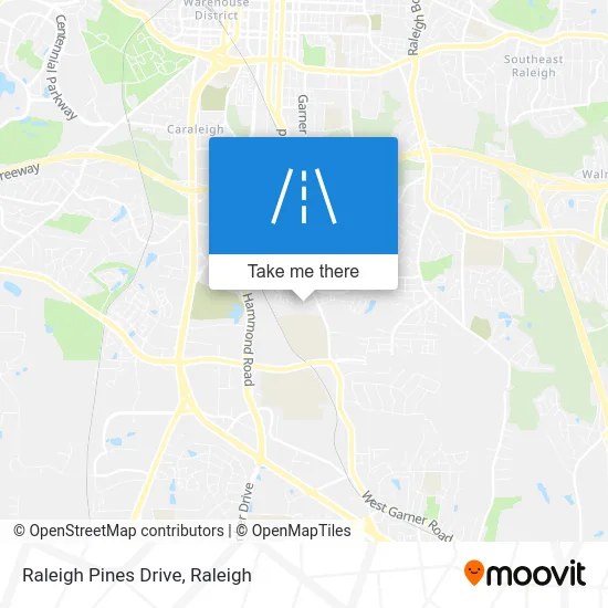 Raleigh Pines Drive map