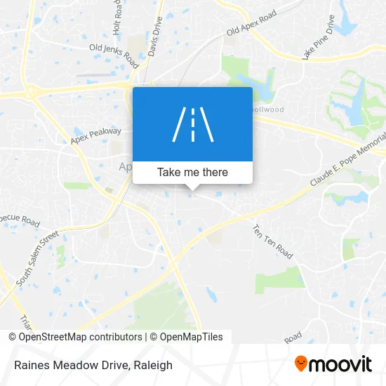 Raines Meadow Drive map
