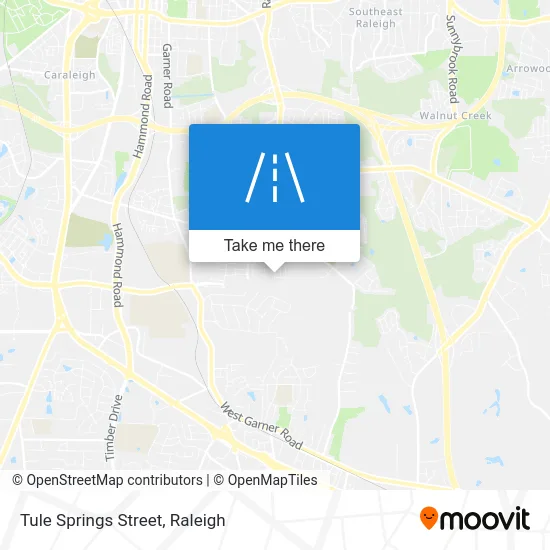Tule Springs Street map