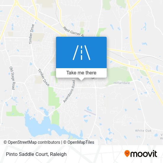 Pinto Saddle Court map