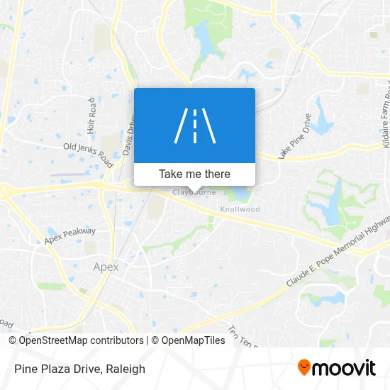Pine Plaza Drive map