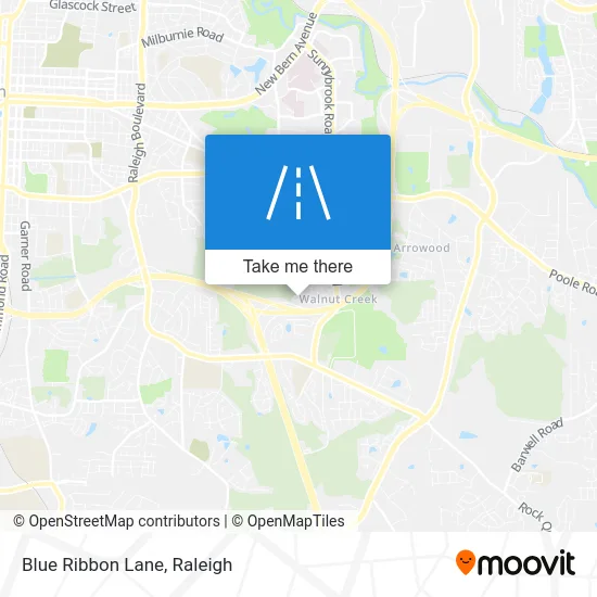 Blue Ribbon Lane map