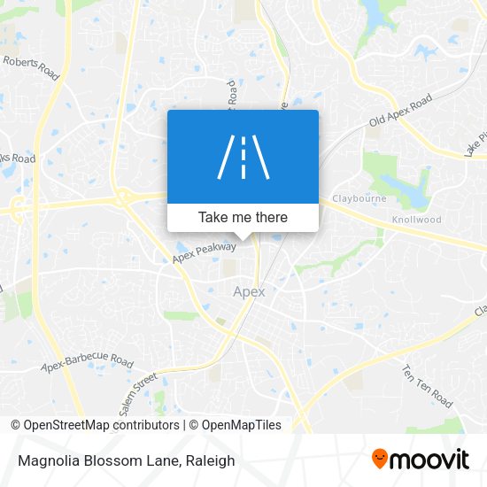Mapa de Magnolia Blossom Lane