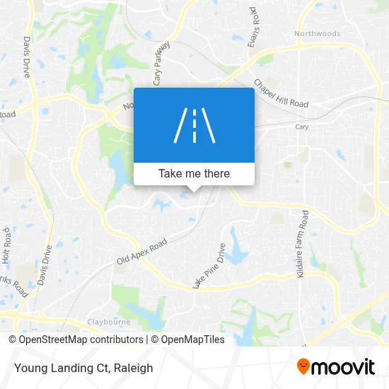 Young Landing Ct map