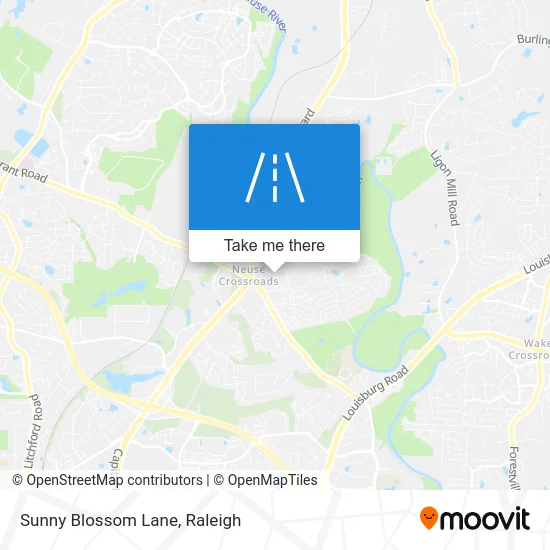 Sunny Blossom Lane map