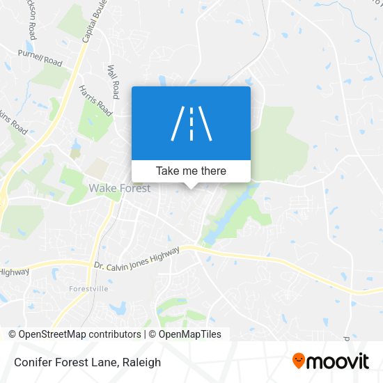 Conifer Forest Lane map