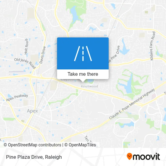 Pine Plaza Drive map