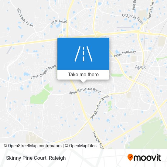 Mapa de Skinny Pine Court