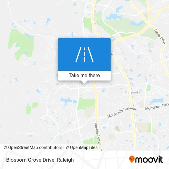Blossom Grove Drive map