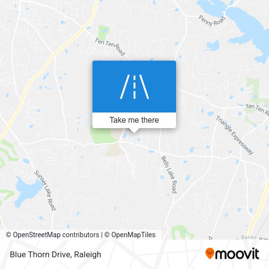 Mapa de Blue Thorn Drive