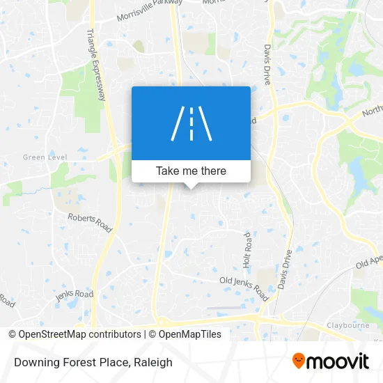 Downing Forest Place map
