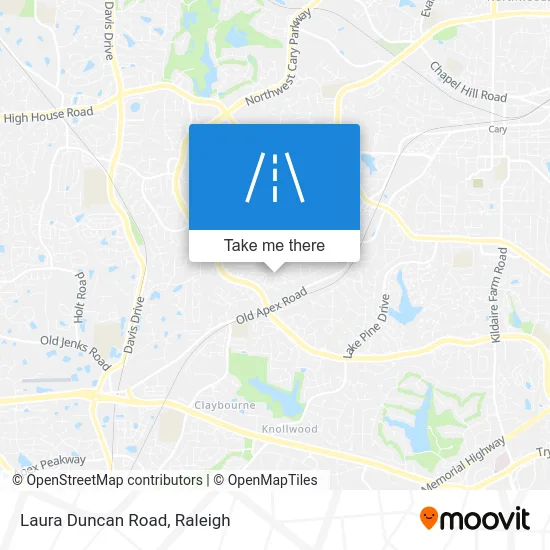 Laura Duncan Road map